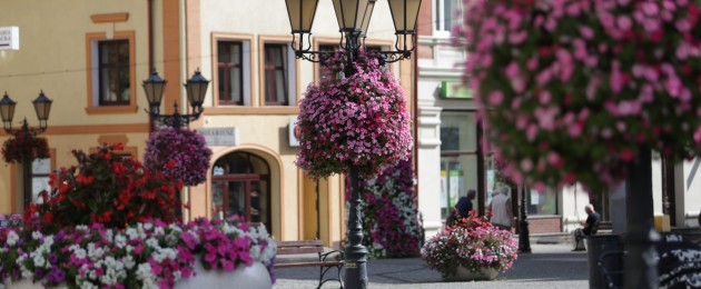 Pokoloruj swoje miasto na wiosnę!