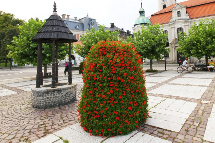 wieże kwiatowe Terra Pszczyna (2)